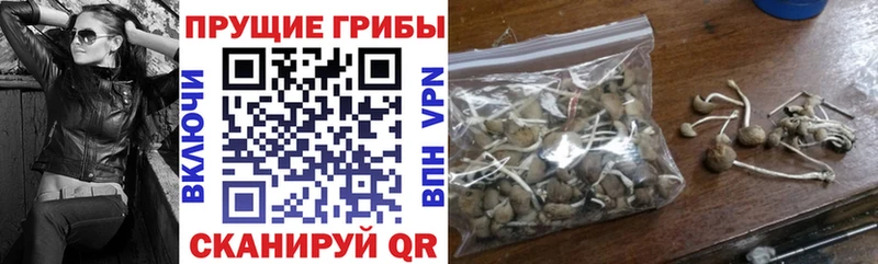 это официальный сайт  хочу   Рошаль  Галлюциногенные грибы прущие грибы 