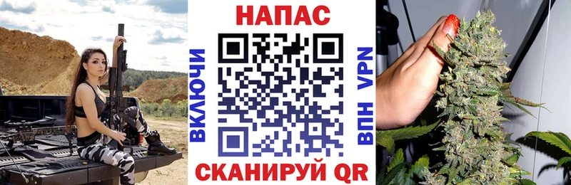 Шишки марихуана OG Kush  наркотики  omg маркетплейс  Рошаль 